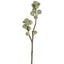 Vara con Vainas Artificial Verde (69 cm)