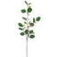 Vara de Eucalipto Artificial Verde Grisáceo (76 cm)