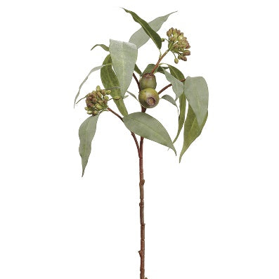 Vara de Eucalipto con Semillas Artificial Verde (64 cm)