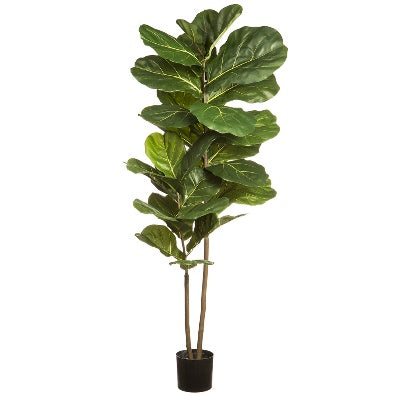 Planta en Maceta Ficus Lyrata Artificial Verde (160 cm)