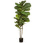 Planta en Maceta Ficus Lyrata Artificial Verde (160 cm)