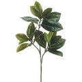 Vara de Hojas de Magnolia Artificial Verde (66 cm)