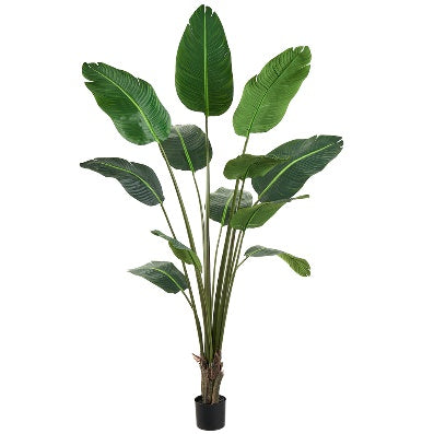 Árbol en Maceta de Palma del Viajero Artificial (183 cm)