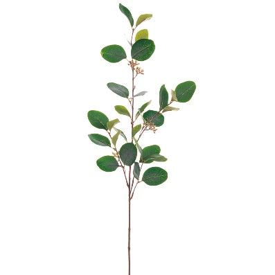 Vara de Eucalipto Artificial Verde Grisáceo (76 cm)