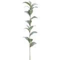 Vara de Ruscus Artificial (77 cm)