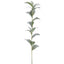 Vara de Ruscus Artificial (77 cm)