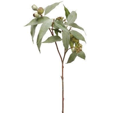Vara de Eucalipto con Semillas Artificial Verde (83 cm)